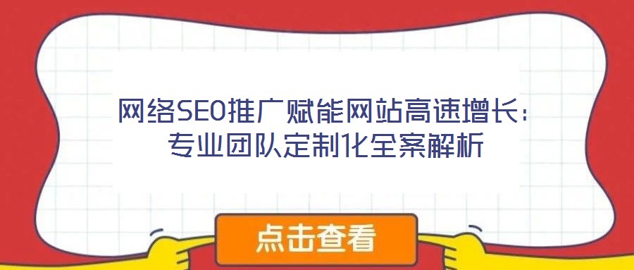 網絡SEO推廣賦能網站高速增長:專業團隊定制化全案解析