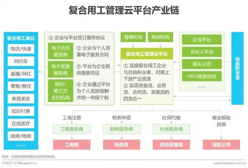 2021年博爾捷數(shù)字科技行業(yè)研究報(bào)告 數(shù)字技術(shù)服務(wù)的新機(jī)遇與挑戰(zhàn)